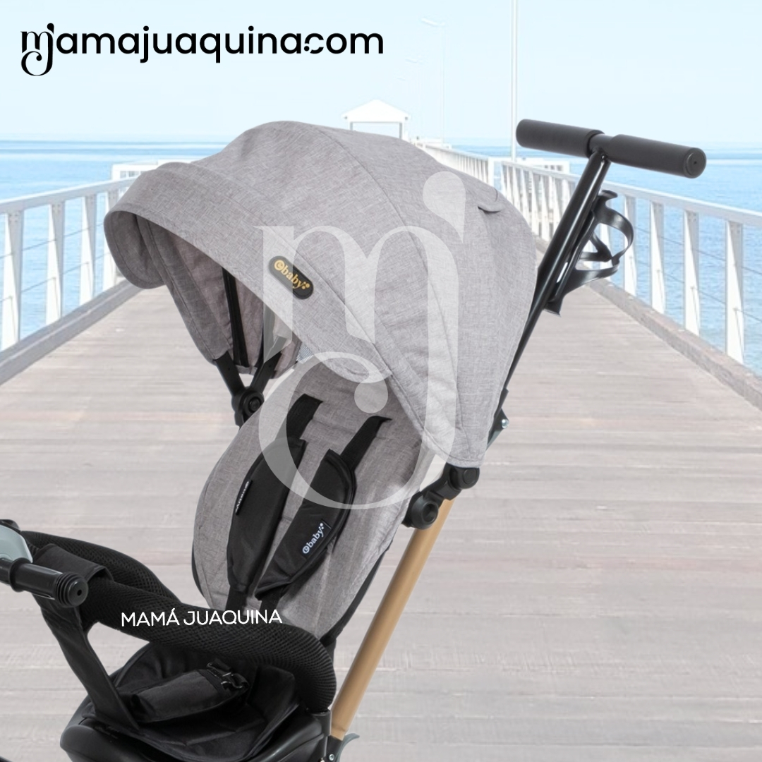 TRICICLO GUIADOR GIRATORIO «WUNDER» EDICIÓN LIMITADA GRAY - 4