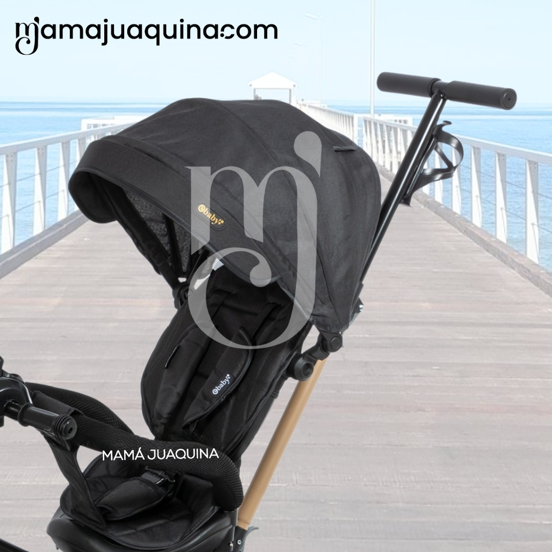 TRICICLO GUIADOR GIRATORIO «WUNDER» EDICIÓN LIMITADA BLACK - 4