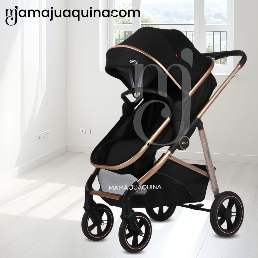COCHE MOISÉS TRAVEL SYSTEM «MUNICH GOLD» DE LUJO PINK - 2