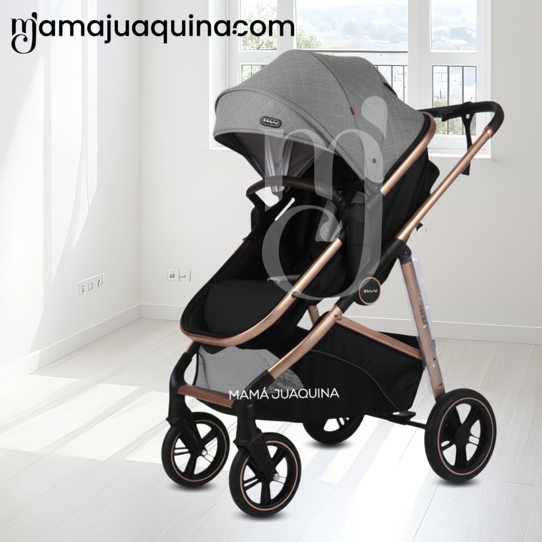 COCHE MOISÉS TRAVEL SYSTEM «MUNICH GOLD» DE LUJO GRAY - 2