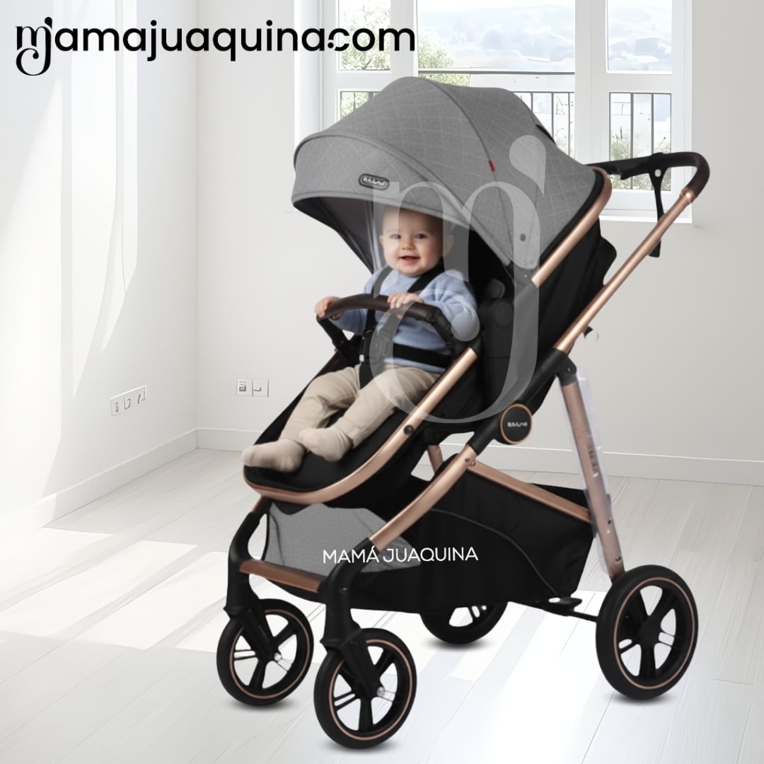 COCHE MOISÉS TRAVEL SYSTEM «MUNICH GOLD» DE LUJO GRAY - 3