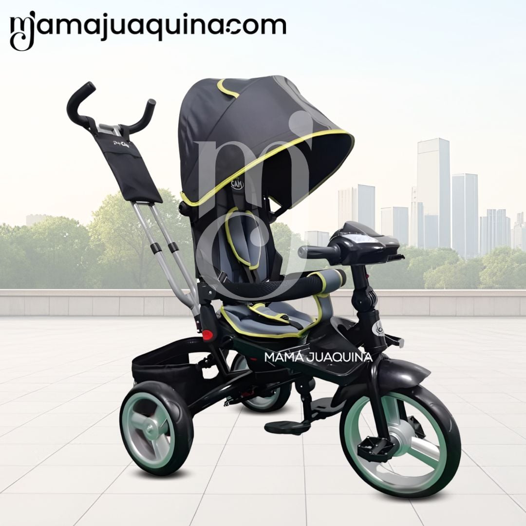 TRICICLO GUIADOR «FORD SILVER» EDICIÓN LIMITADA BLACK - 2