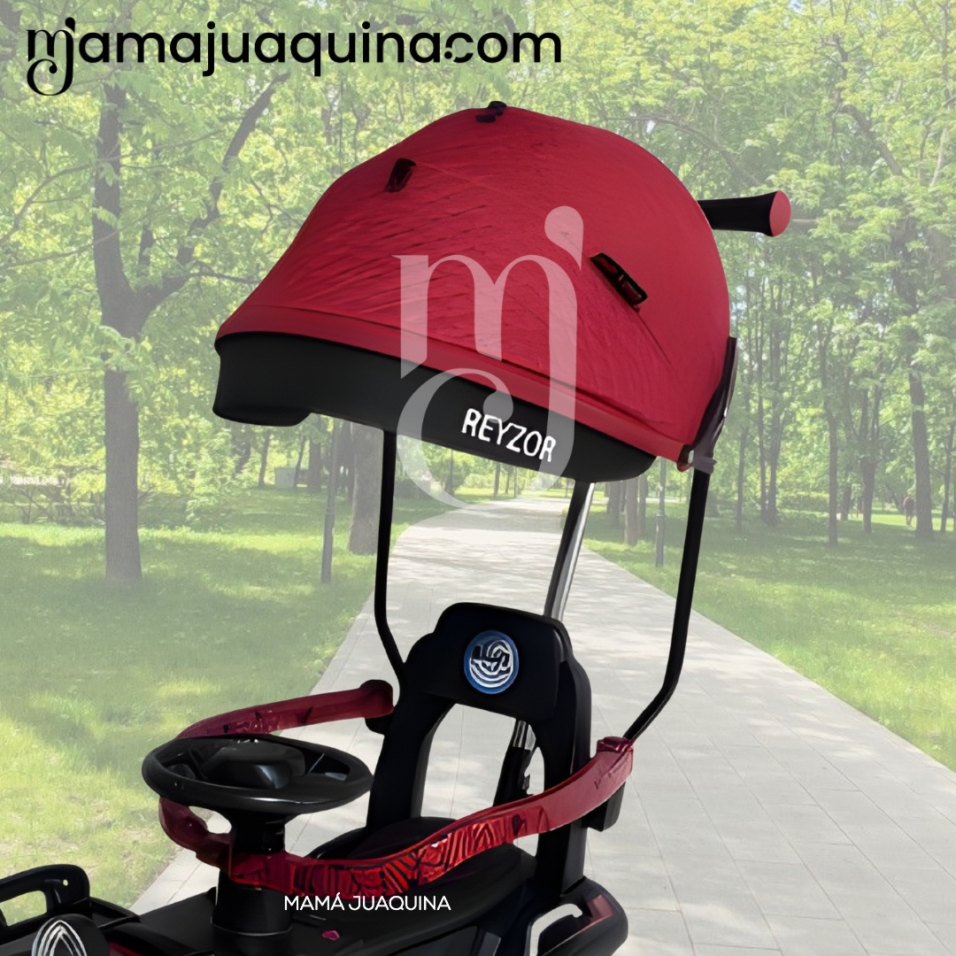 CORREPASILLO GUIADOR «REYZOR» EDICIÓN LIMITADA PARA NIÑOS RED - 4