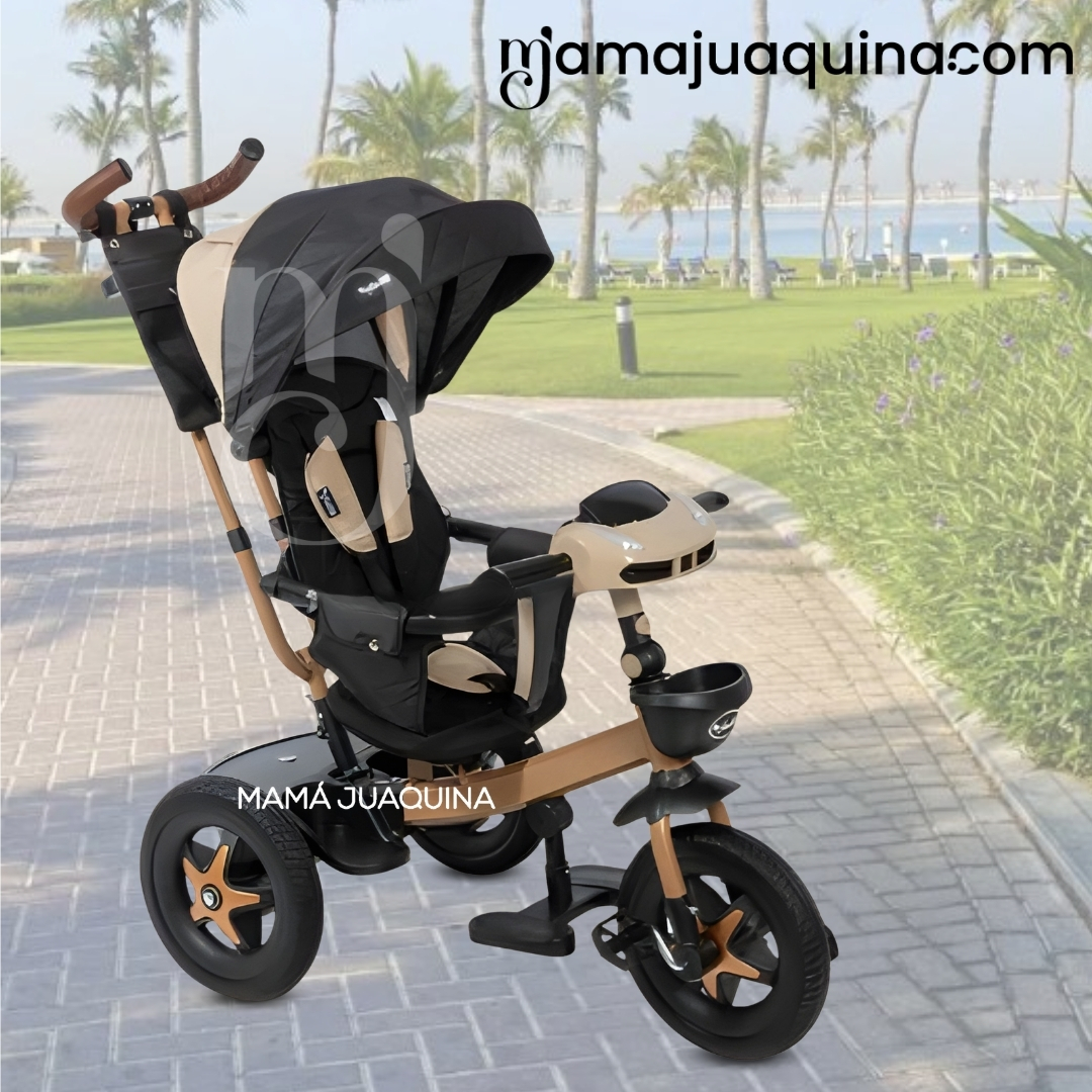 TRICICLO GUIADOR«TRIKE BIKE» - 2