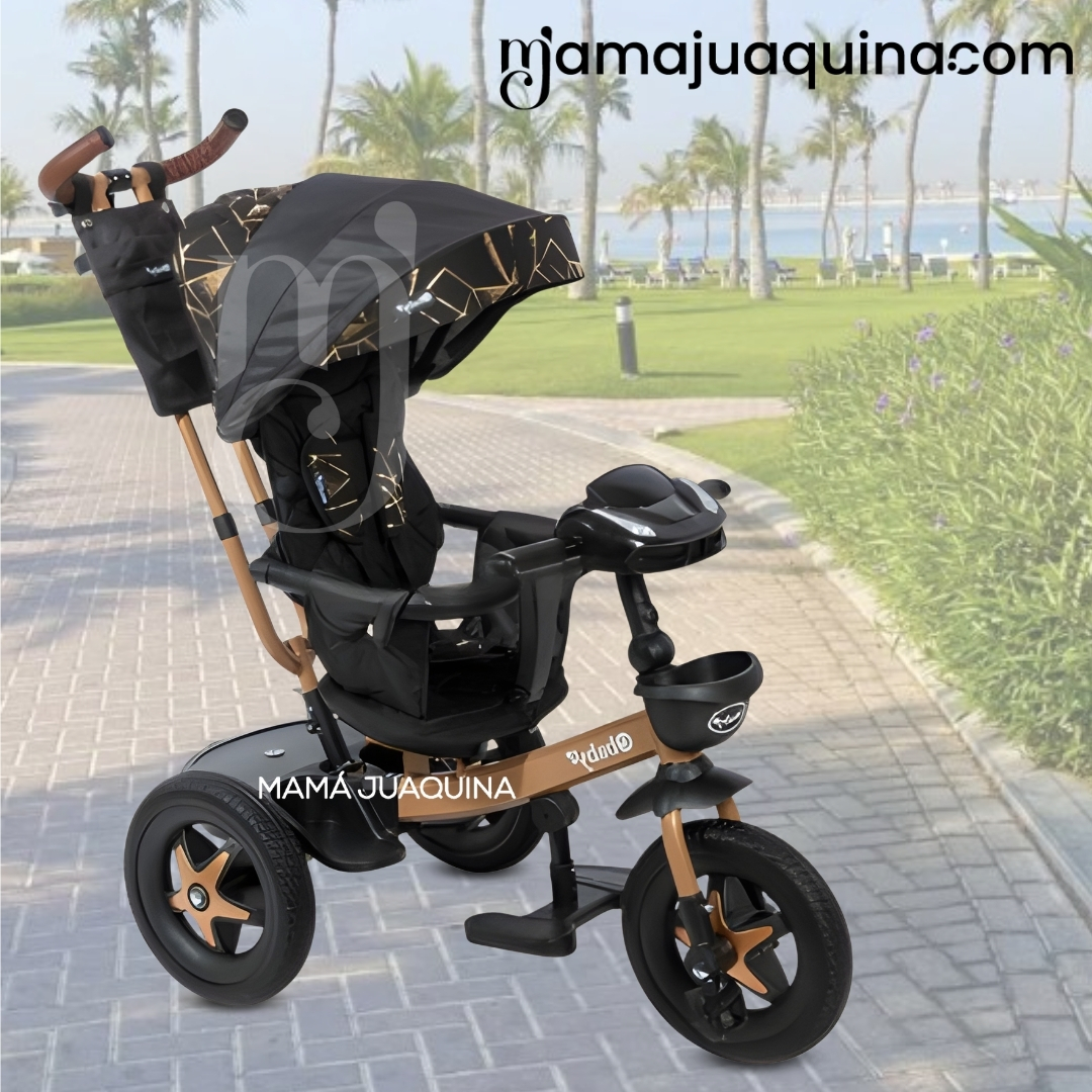 TRICICLO GUIADOR«TRIKE BIKE» - 2