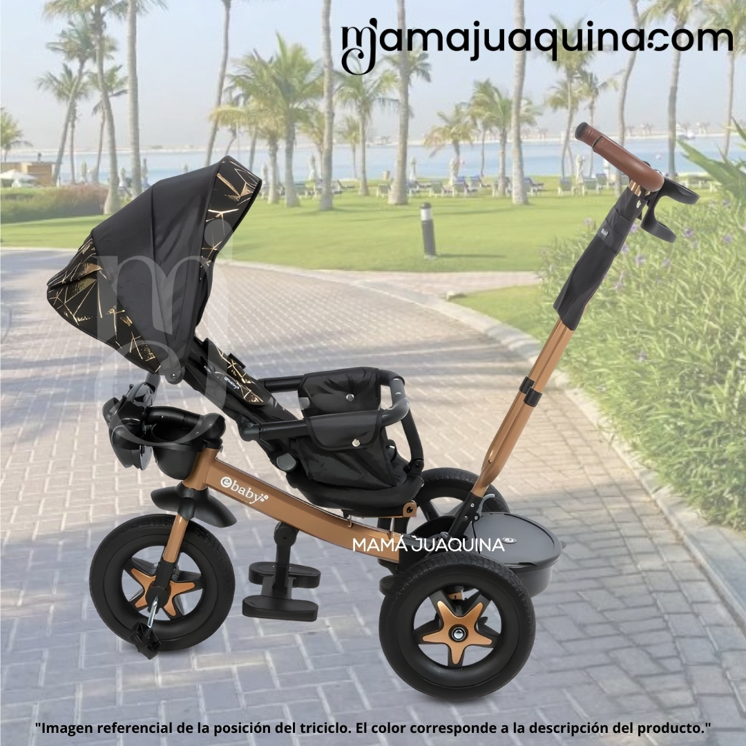 TRICICLO GUIADOR«TRIKE BIKE» - 3