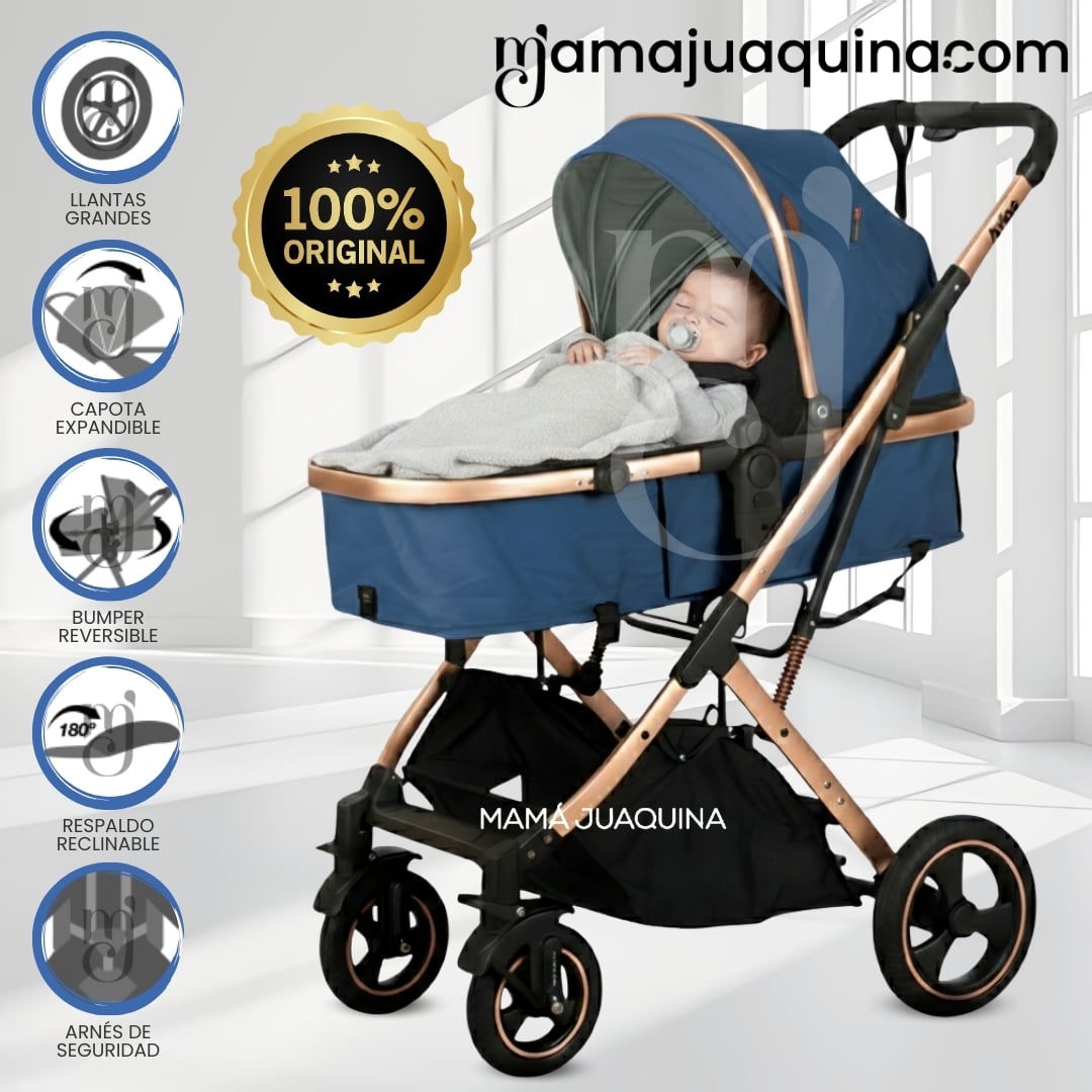 COCHE MOISÉS DE LUJO «ARIOS» EDICIÓN LIMITADA - 1