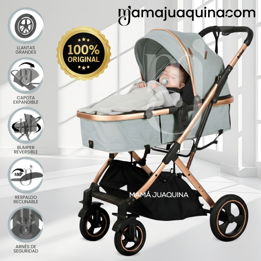 COCHE MOISÉS DE LUJO «ARIOS» EDICIÓN LIMITADA - 1