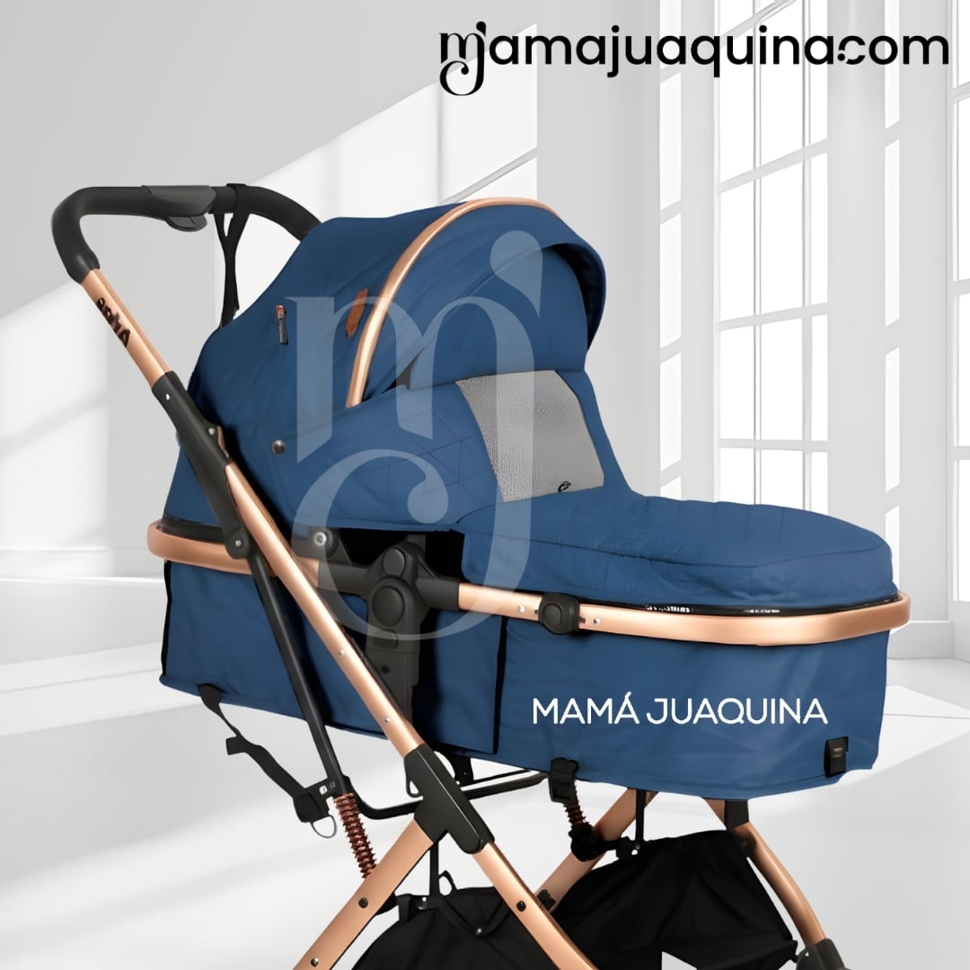 COCHE MOISÉS DE LUJO «ARIOS» EDICIÓN LIMITADA - 2