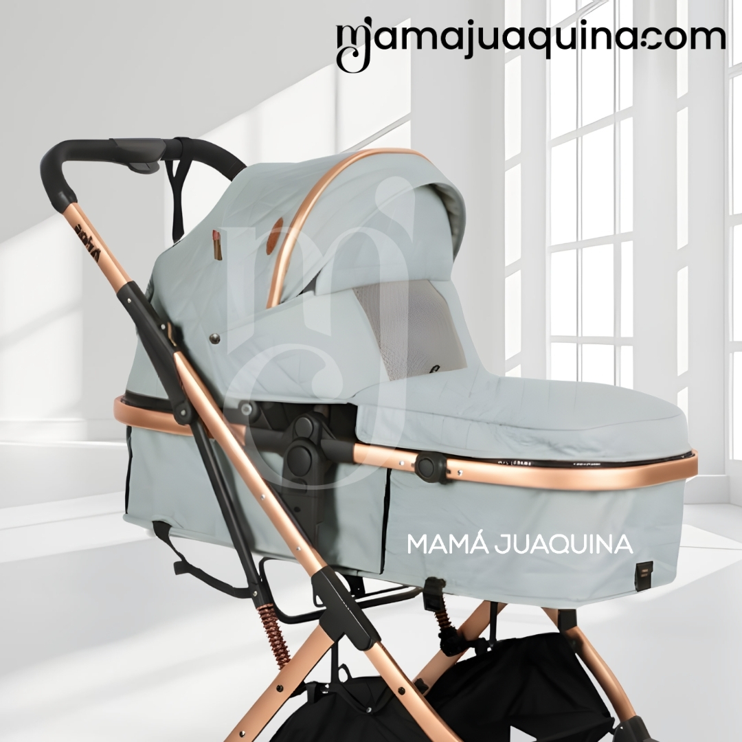 COCHE MOISÉS DE LUJO «ARIOS» EDICIÓN LIMITADA - 2