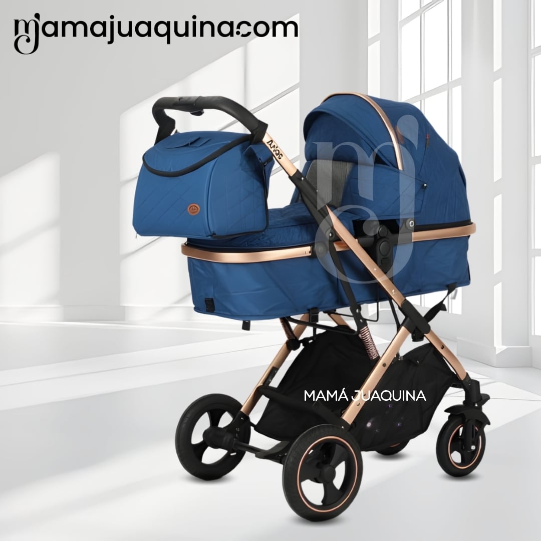 COCHE MOISÉS DE LUJO «ARIOS» EDICIÓN LIMITADA - 3