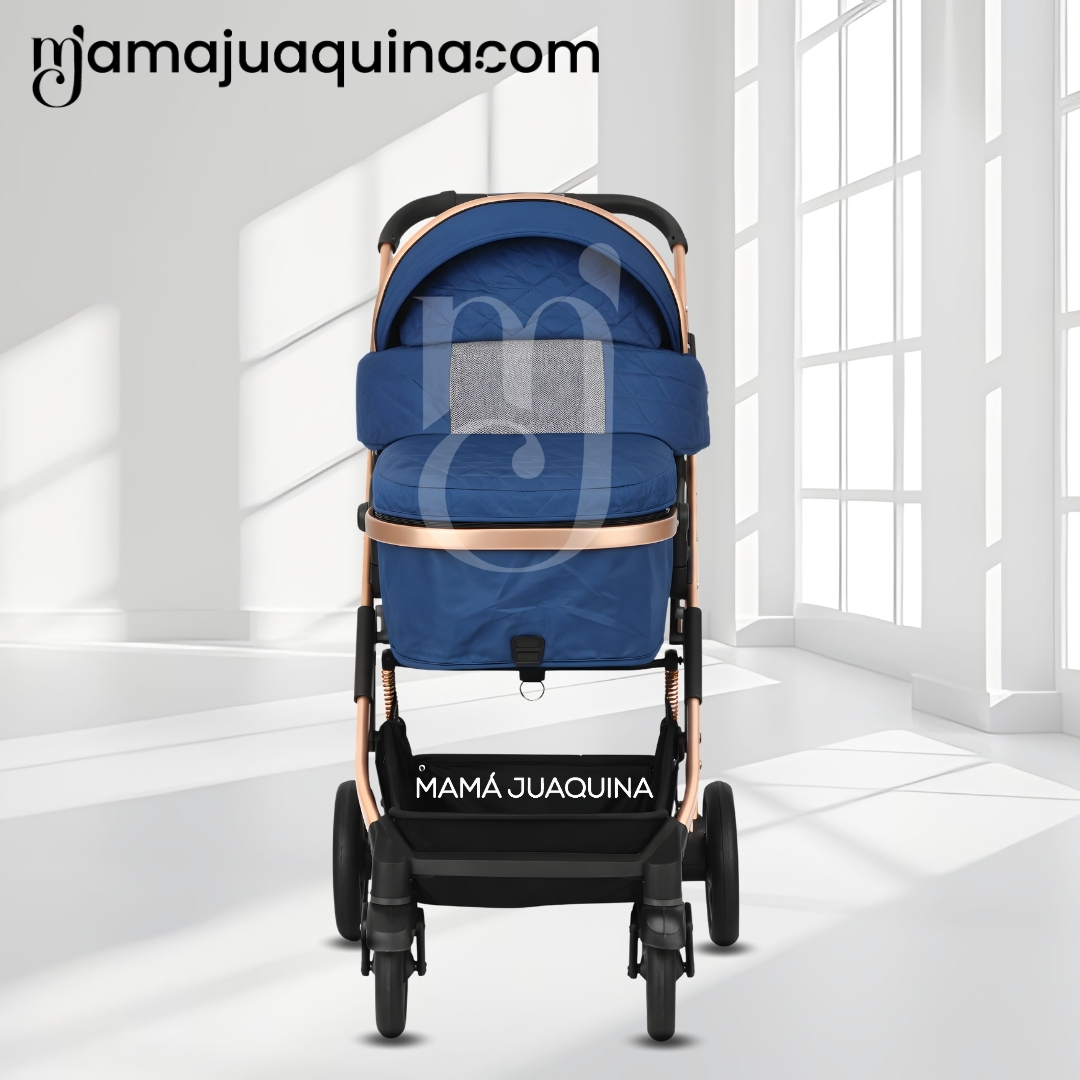 COCHE MOISÉS DE LUJO «ARIOS» EDICIÓN LIMITADA - 6