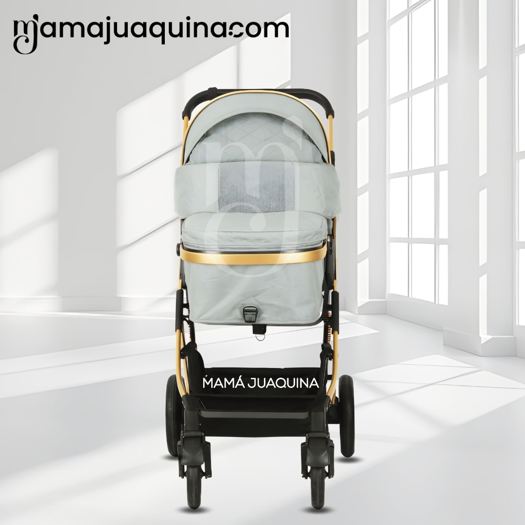 COCHE MOISÉS DE LUJO «ARIOS» EDICIÓN LIMITADA - 6