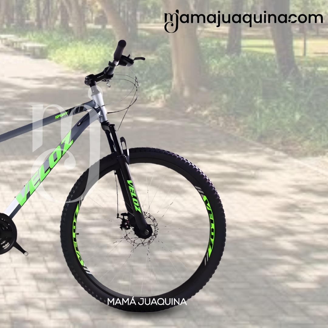 BICICLETA MONTAÑERA DEPORTIVA ARO 29 «ROMA MTB II» - 2