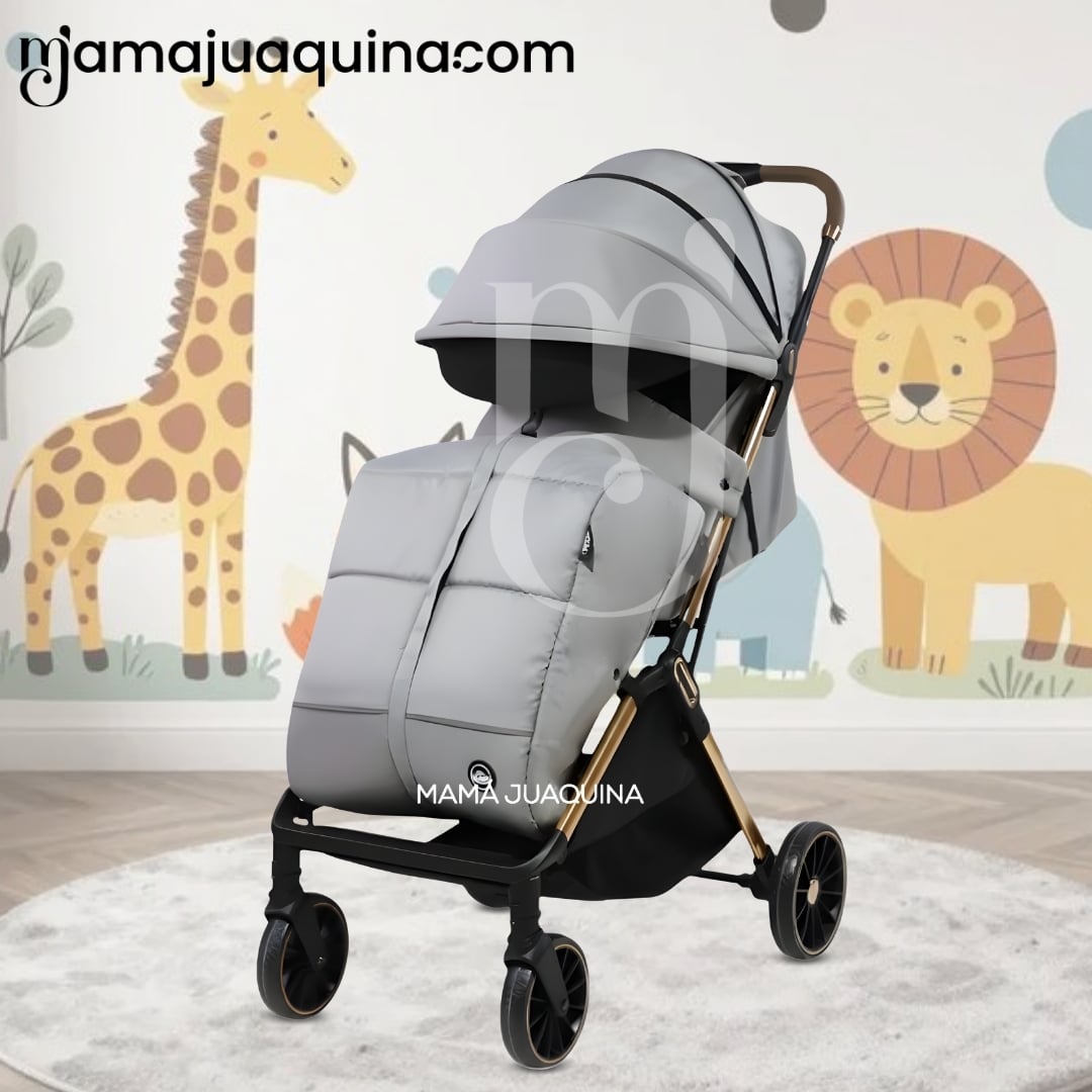 COCHE MALETA DE PASEO «DENVER» EDICIÓN EXCLUSIVA - 2