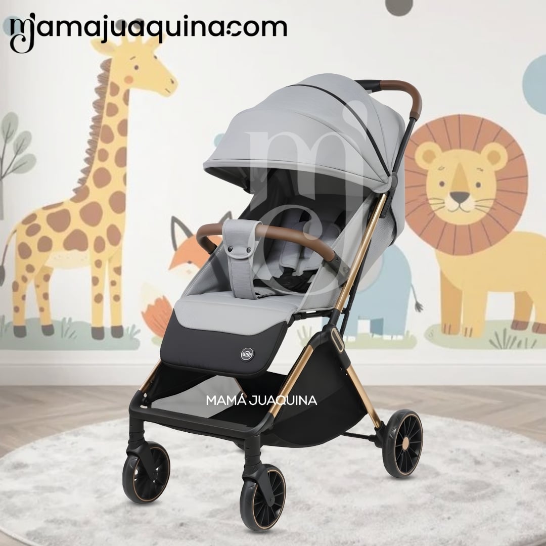 COCHE MALETA DE PASEO «DENVER» EDICIÓN EXCLUSIVA - 3