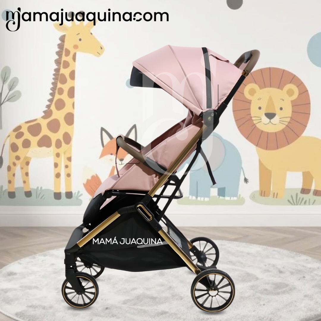COCHE MALETA DE PASEO «DENVER» EDICIÓN EXCLUSIVA - 3