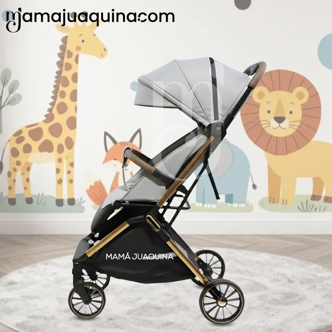 COCHE MALETA DE PASEO «DENVER» EDICIÓN EXCLUSIVA - 4