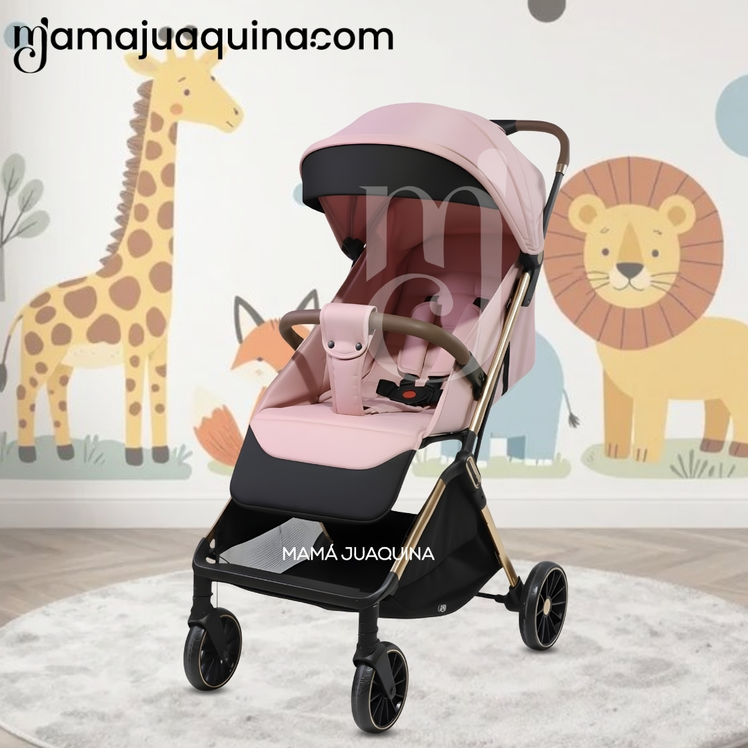 COCHE MALETA DE PASEO «DENVER» EDICIÓN EXCLUSIVA - 6