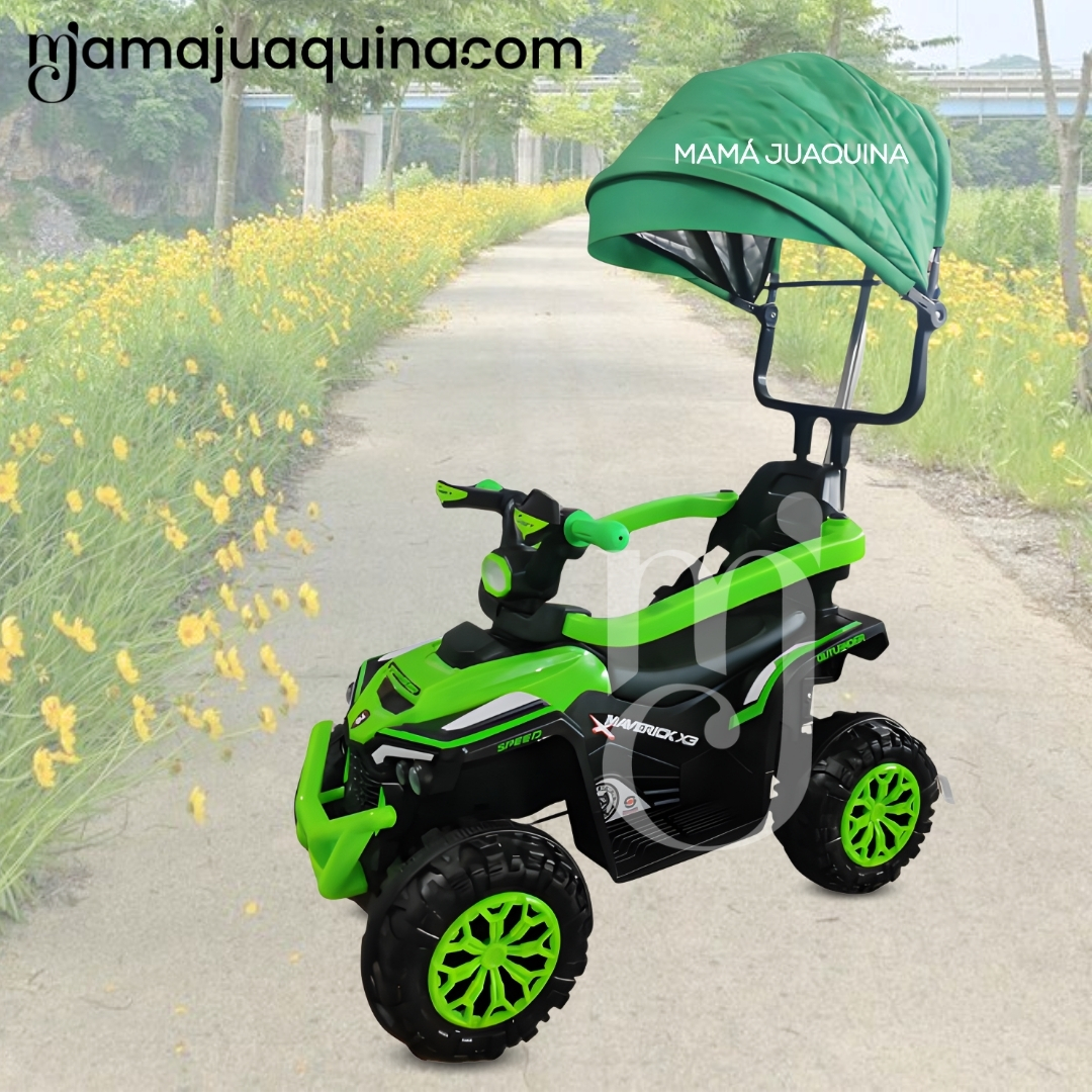 CORREPASILLO GUIADOR «MAVERICK II» EDICIÓN EXCLUSIVA BLACK - 5
