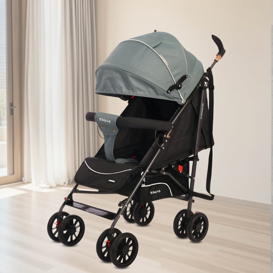 COCHE BASTÓN DE LUJO «DANNES» EDICIÓN EXCLUSIVA GREEN - 5