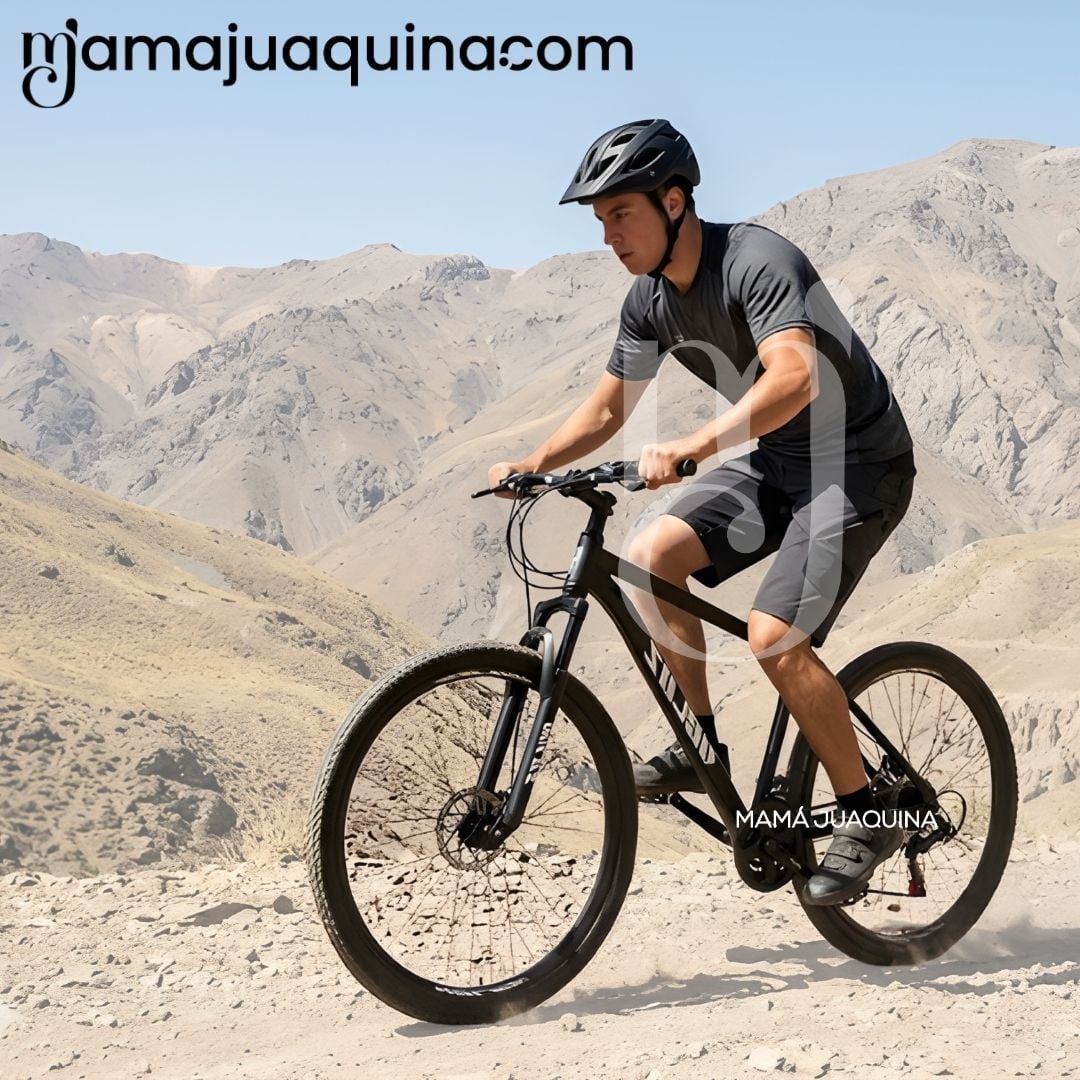 BICICLETA DEPORTIVA ARO 29 «LANDER SPEED» EDICIÓN EXCLUSIVA BLACK - 4