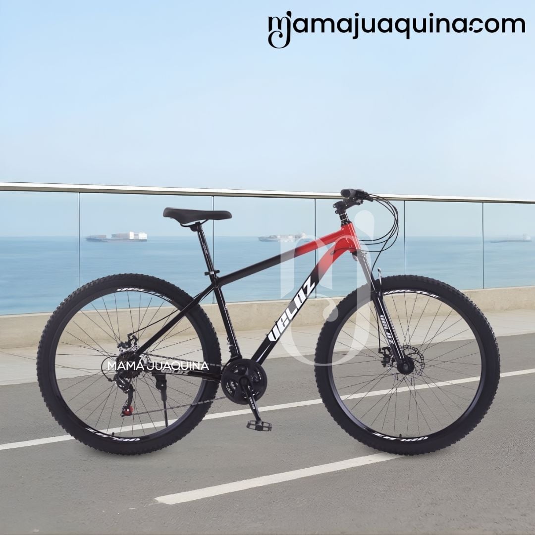 BICICLETA DEPORTIVA ARO 29 «LANDER SPEED» EDICIÓN EXCLUSIVA RED - 3