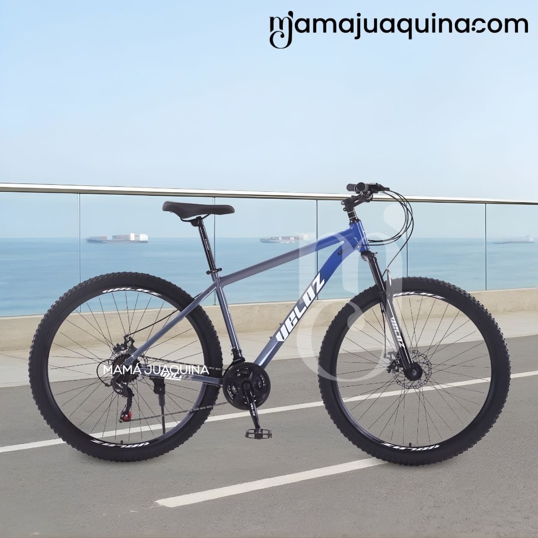 BICICLETA DEPORTIVA ARO 29 «LANDER SPEED» EDICIÓN EXCLUSIVA BLUE - 2