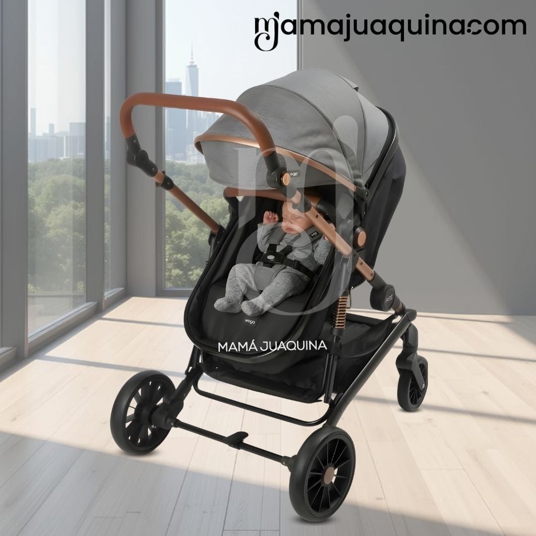 COCHE MOISÉS TRAVEL SYSTEM «INFINITIVE GOLD II» DE LUJO GRAY - 2