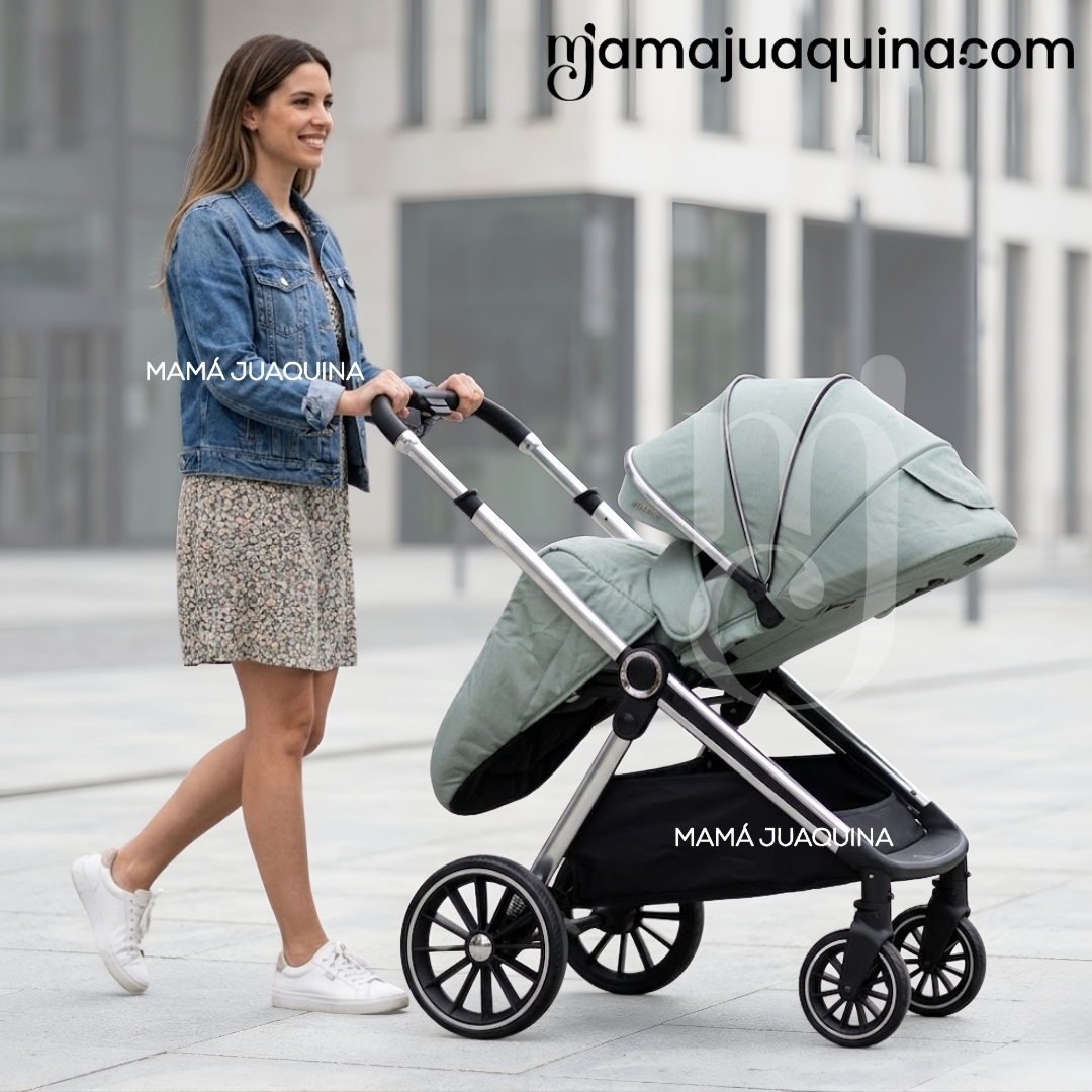 COCHE MOISÉS TRAVEL SYSTEM «TAURO» EDICIÓN LIMITADA - 2