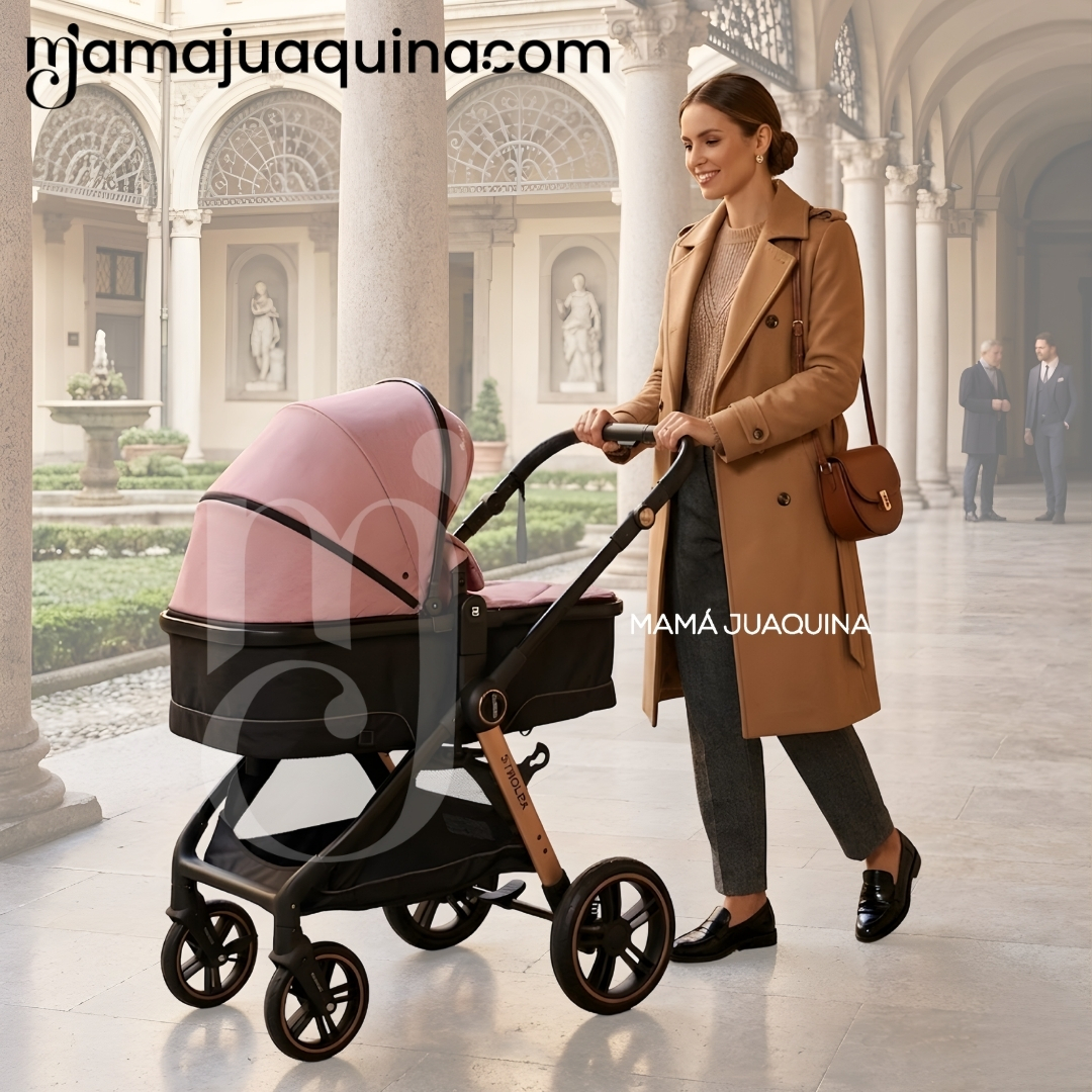 COCHE MOISÉS TRAVEL SYSTEM «GERARD» EDICIÓN LIMITADA - 2