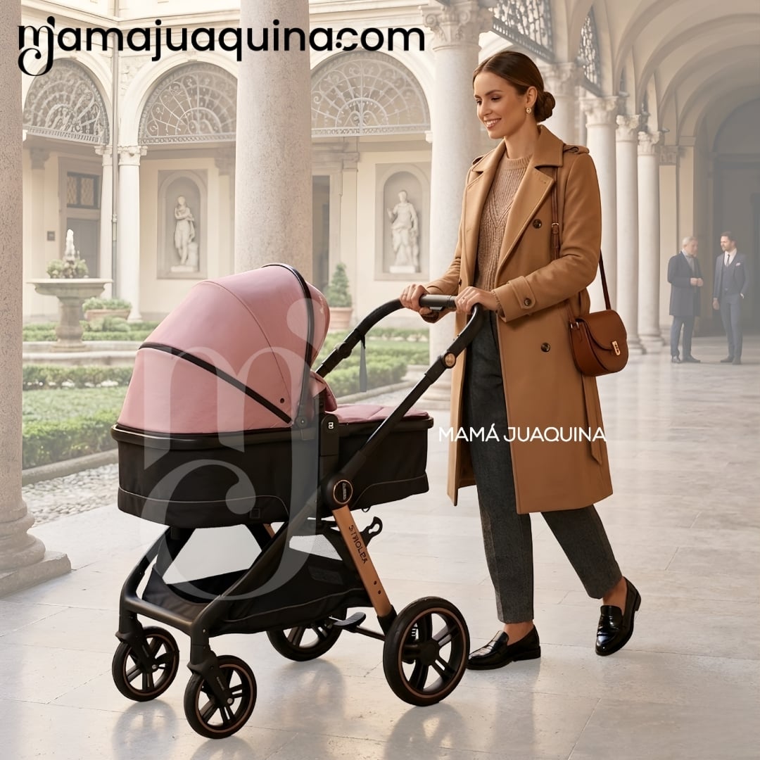 COCHE MOISÉS TRAVEL SYSTEM «GERARD» EDICIÓN LIMITADA - 3