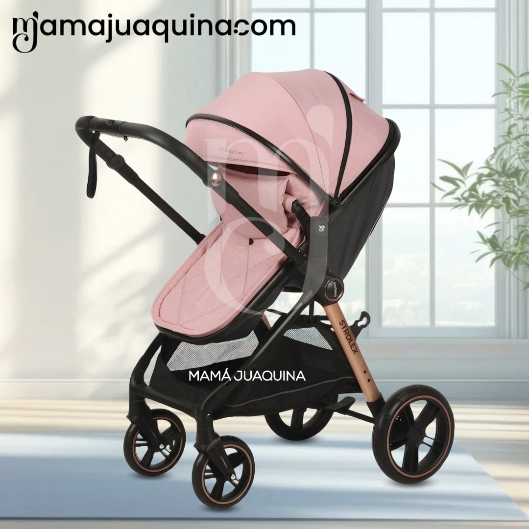 COCHE MOISÉS TRAVEL SYSTEM «GERARD» EDICIÓN LIMITADA - 4