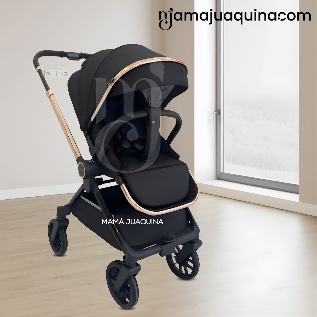 COCHE MOISÉS TRAVEL SYSTEM «HELEN» EDICIÓN LIMITADA - 4