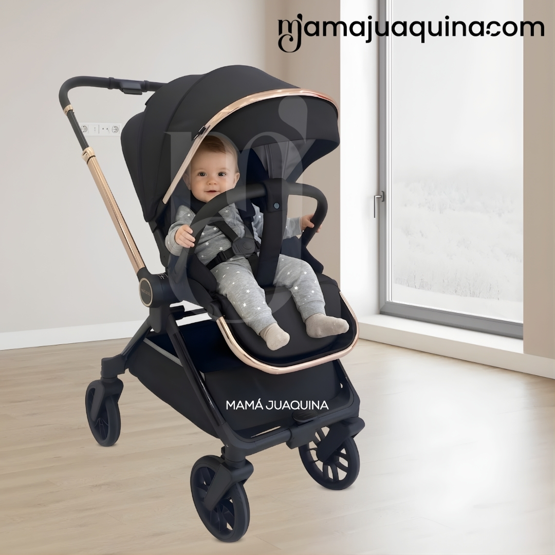 COCHE MOISÉS TRAVEL SYSTEM «HELEN» EDICIÓN LIMITADA - 6
