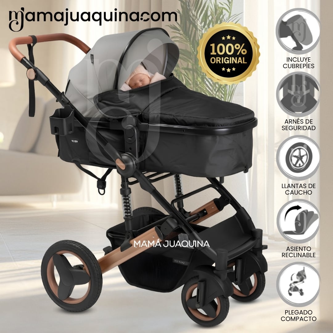 COCHE MOISÉS TRAVEL SYSTEM «ROMAN» EDICIÓN LIMITADA - 1