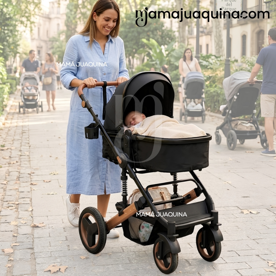 COCHE MOISÉS TRAVEL SYSTEM «ROMAN» EDICIÓN LIMITADA - 2