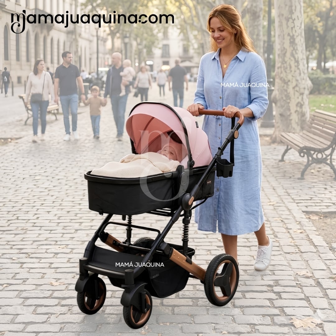 COCHE MOISÉS TRAVEL SYSTEM «ROMAN» EDICIÓN LIMITADA - 2