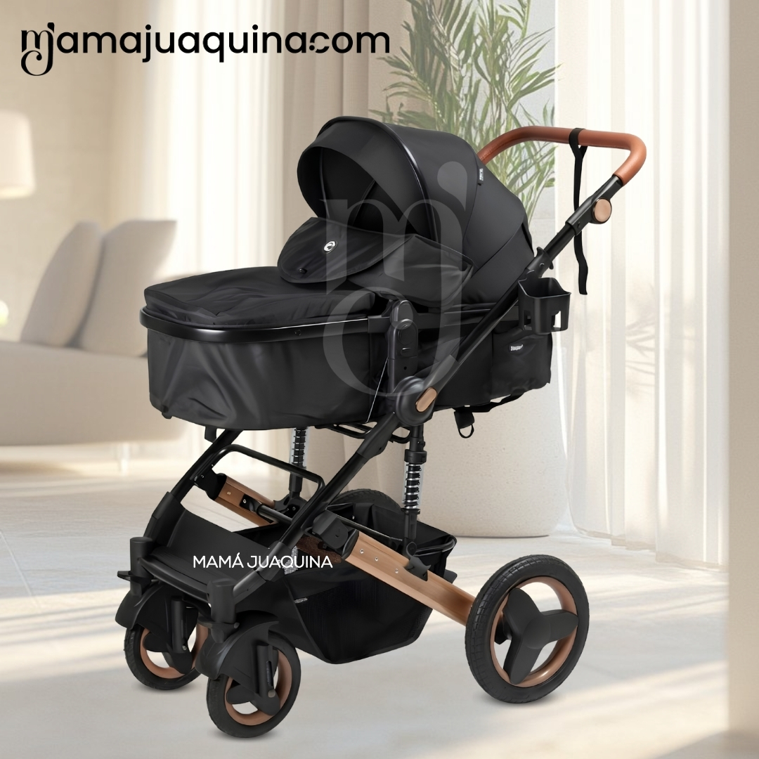COCHE MOISÉS TRAVEL SYSTEM «ROMAN» EDICIÓN LIMITADA - 3