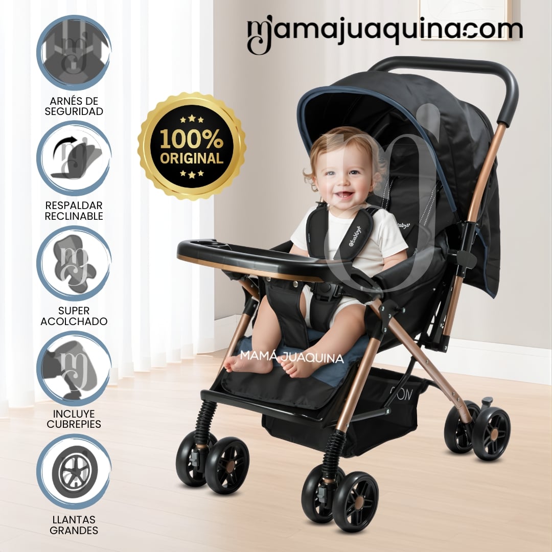 COCHE CUNA DE LUJO «GRAND PIETRI» EDICIÓN LIMITADA - 1