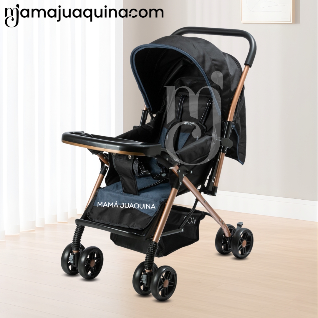 COCHE CUNA DE LUJO «GRAND PIETRI» EDICIÓN LIMITADA - 4