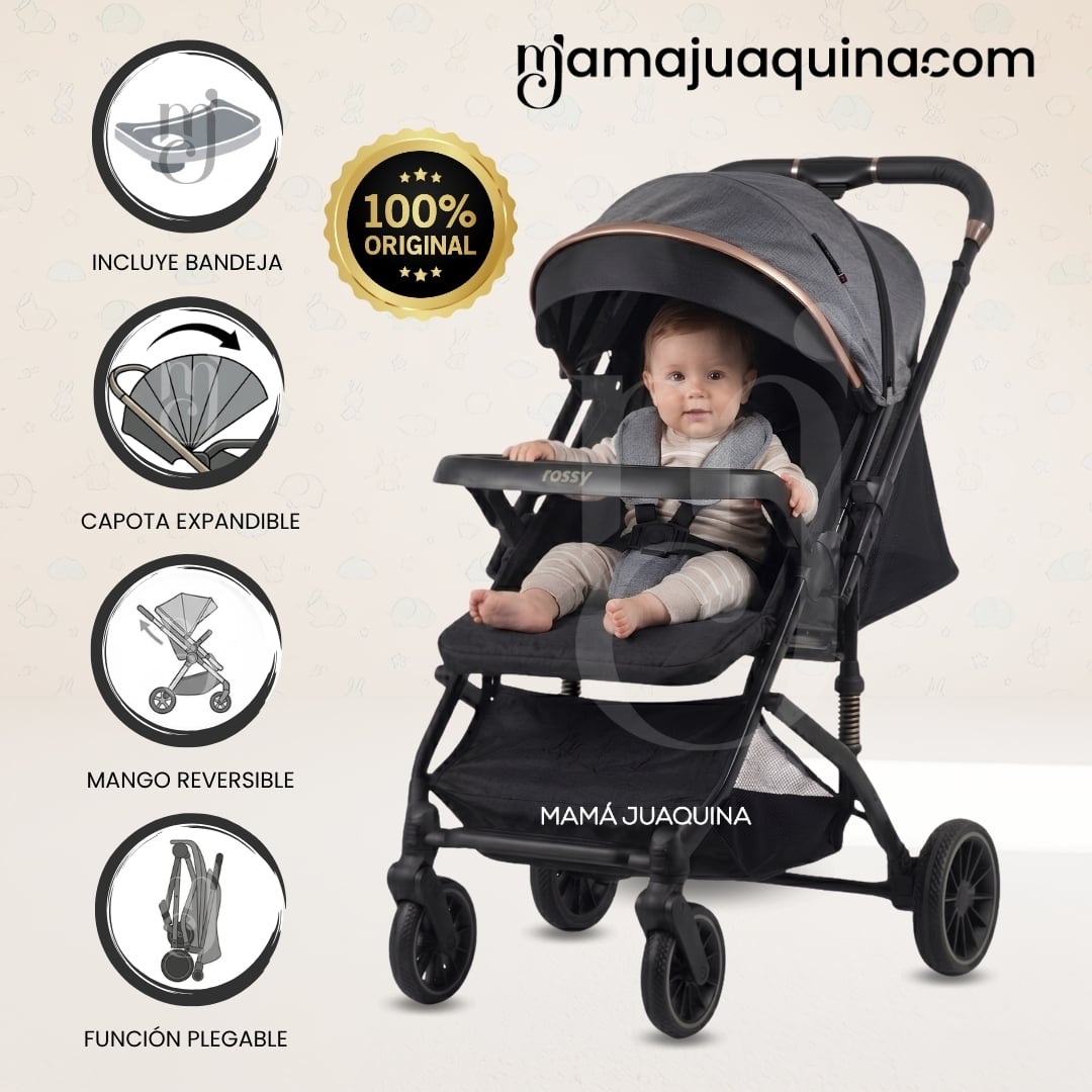 COCHE CUNA DE LUJO «TAYLOR» EDICIÓN ESPECIAL - 1