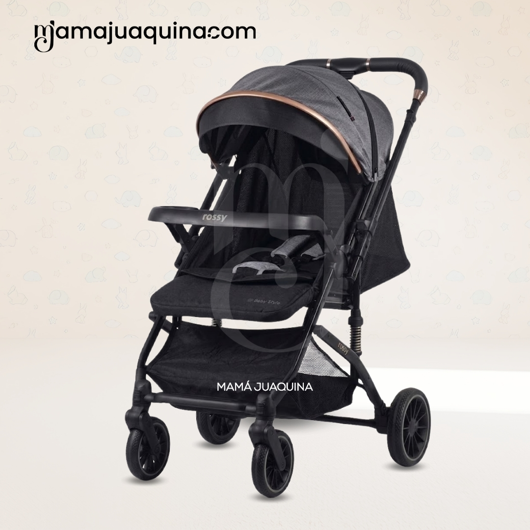 COCHE CUNA DE LUJO «TAYLOR» EDICIÓN ESPECIAL - 3