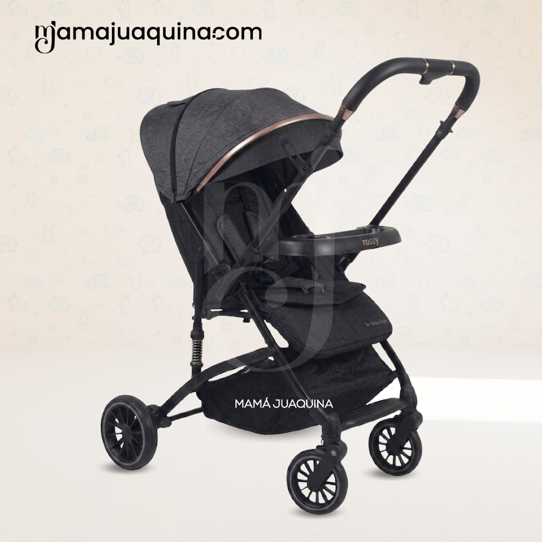 COCHE CUNA DE LUJO «TAYLOR» EDICIÓN ESPECIAL - 4