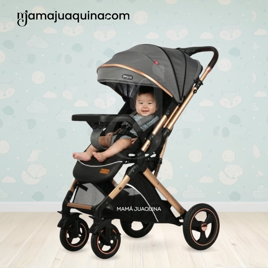 COCHE CUNA DE LUJO «LUKAS» EDICIÓN EXCLUSIVA BLUE - 4