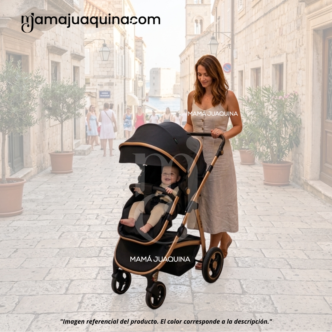 COCHE MOISÉS TRAVEL SYSTEM «SPEED PRINCE MINUS» CON MOCHILA PAÑALERA - 2