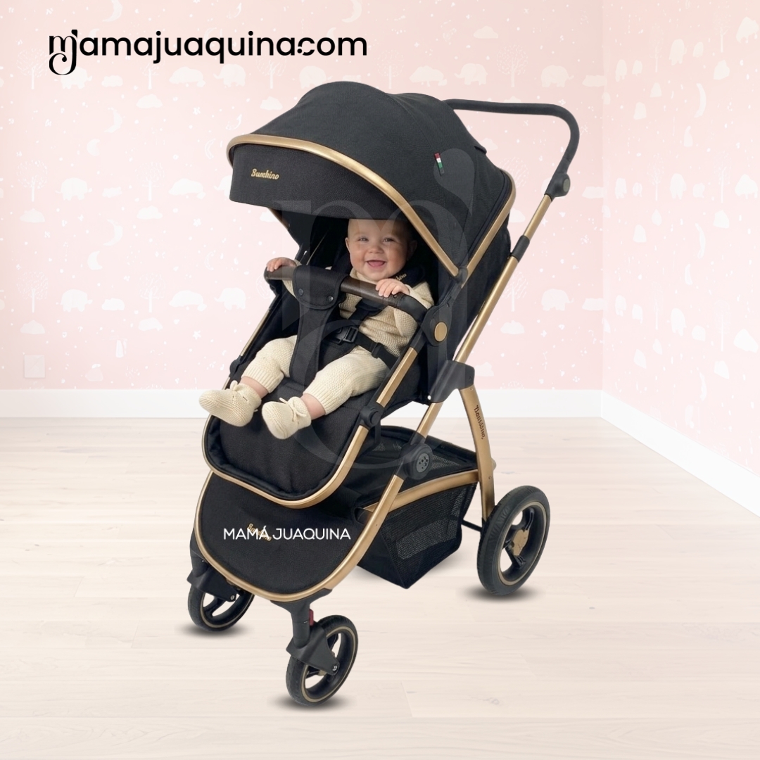 COCHE MOISÉS TRAVEL SYSTEM «SPEED PRINCE MINUS» CON MOCHILA PAÑALERA - 4