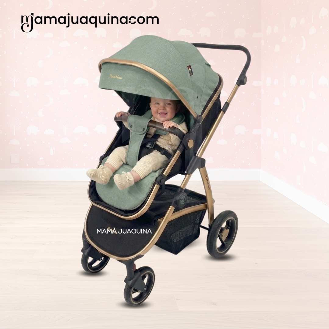 COCHE MOISÉS TRAVEL SYSTEM «SPEED PRINCE MINUS» CON MOCHILA PAÑALERA - 4