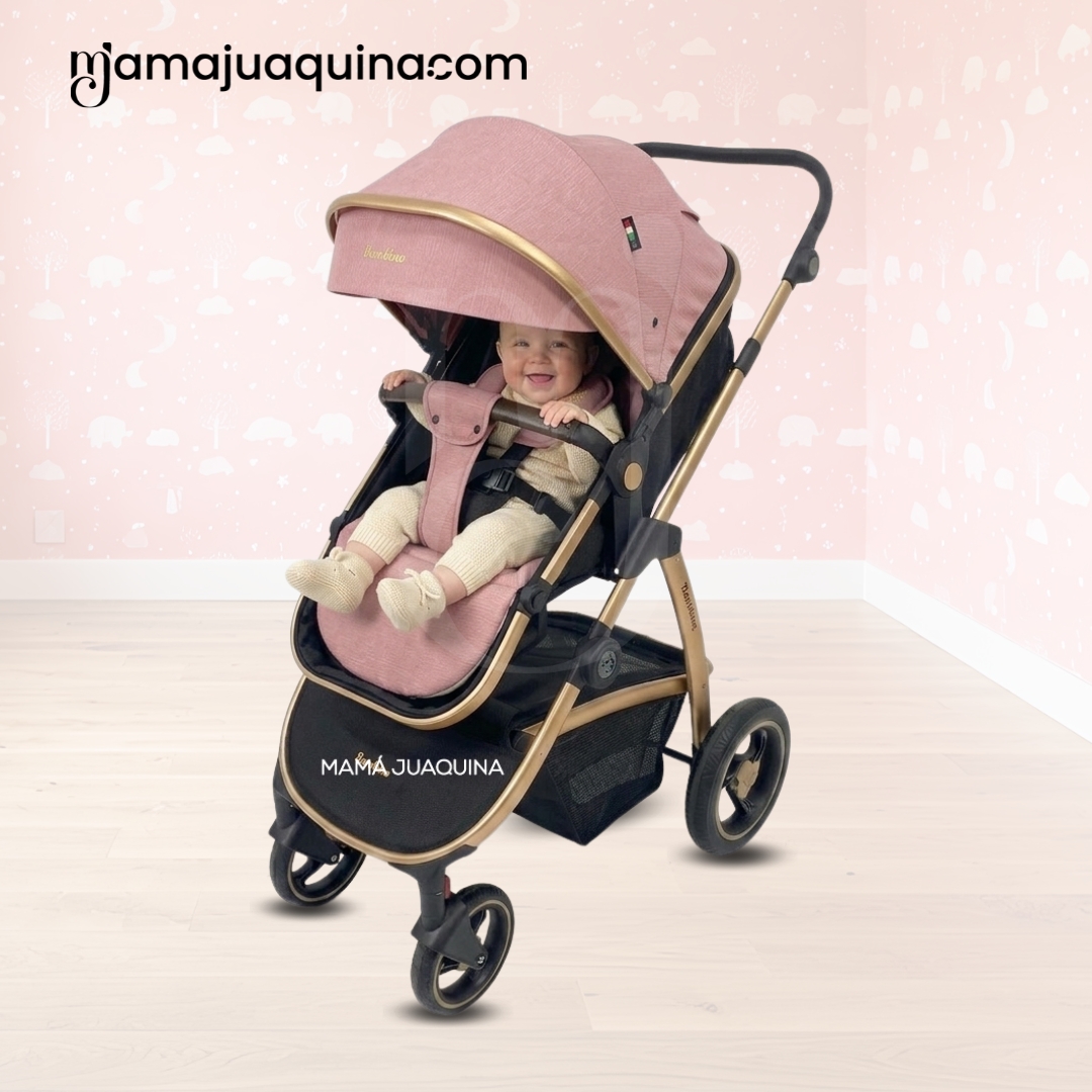 COCHE MOISÉS TRAVEL SYSTEM «SPEED PRINCE MINUS» CON MOCHILA PAÑALERA - 4