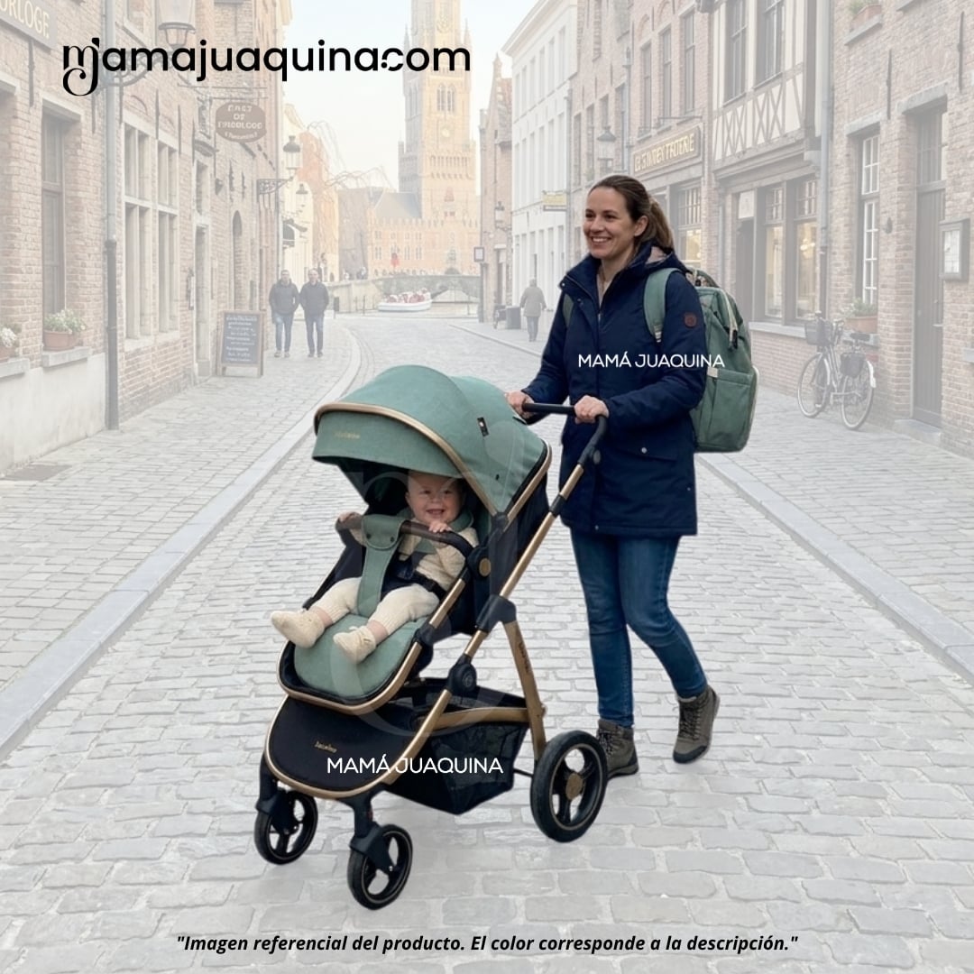 COCHE MOISÉS TRAVEL SYSTEM «SPEED PRINCE PLUS» CON MOCHILA PAÑALERA Y PORTABEBÉ - 2